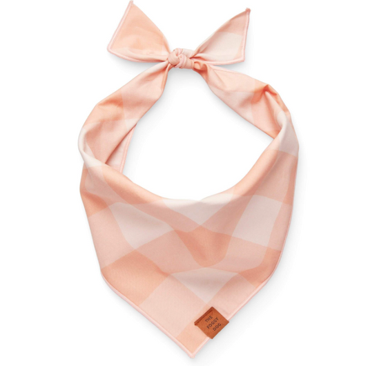 Sorbet Gingham Bandana