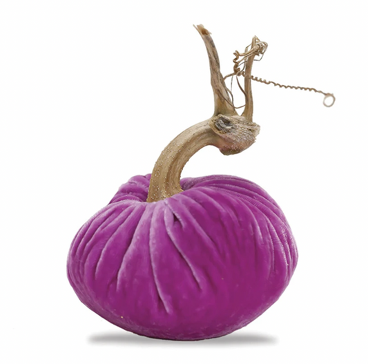 Velvet Pumpkin - Pink Lilac