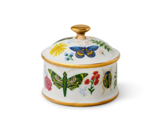 Curio Butterfly Porcelain Box